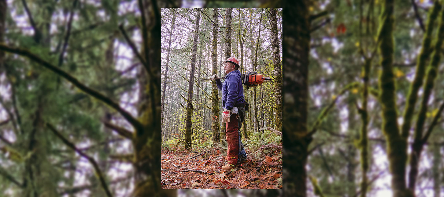 A Logger in the woods.